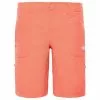 The North Face Women’s Horizon Sunnyside Shorts