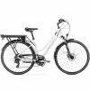 Arkus&Romet Electric Bicycle Arkus & Romet Gazela 1 RM