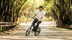 Electric Bicycle Fiido D11 (36 V / 11,6 Ah), Foldable -pyöräkauppa elektrijalgratas fiido d11 foto 4