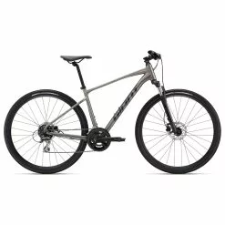 Bicycles Giant Roam 3 Disc, Metal